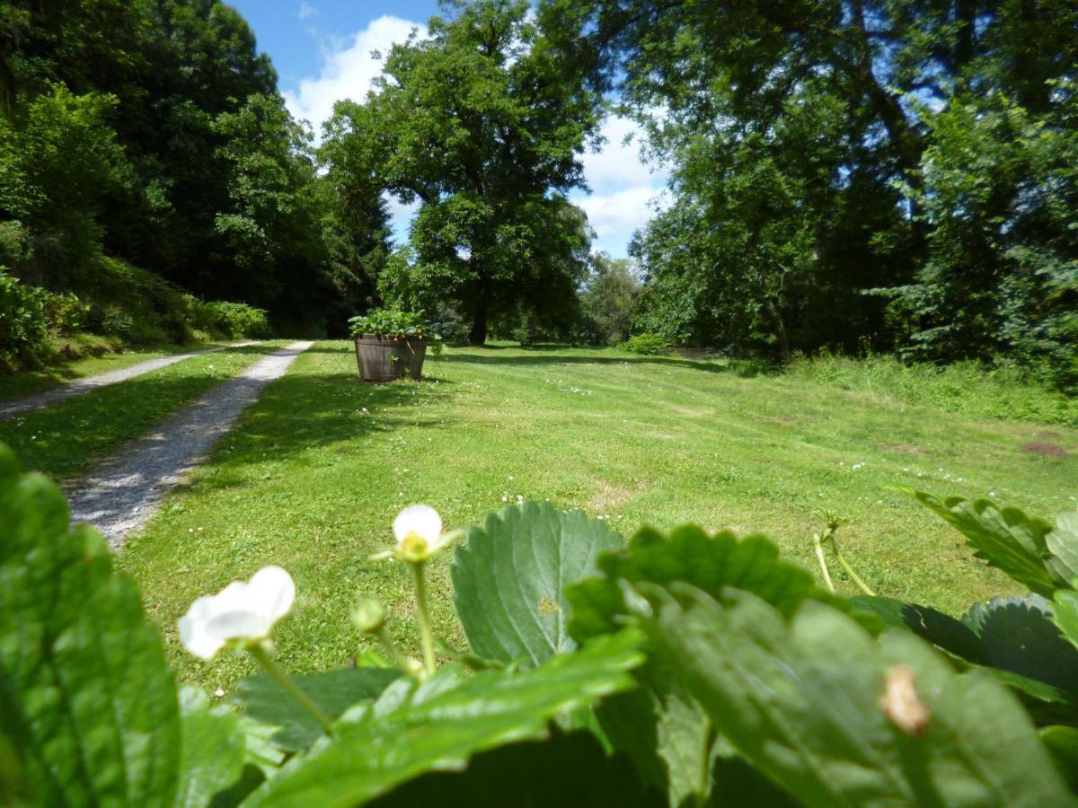 Oulches Le Moulin De Cors Bed & Breakfast エクステリア 写真